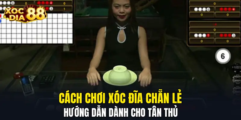 Cách chơi xóc đĩa chẵn lẻ hướng dẫn dành cho tân thủ Cách chơi xóc đĩa chẵn lẻ hướng dẫn dành cho tân thủ